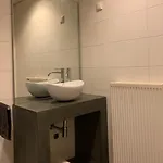 Huisjes Duinrand 3* Drunen